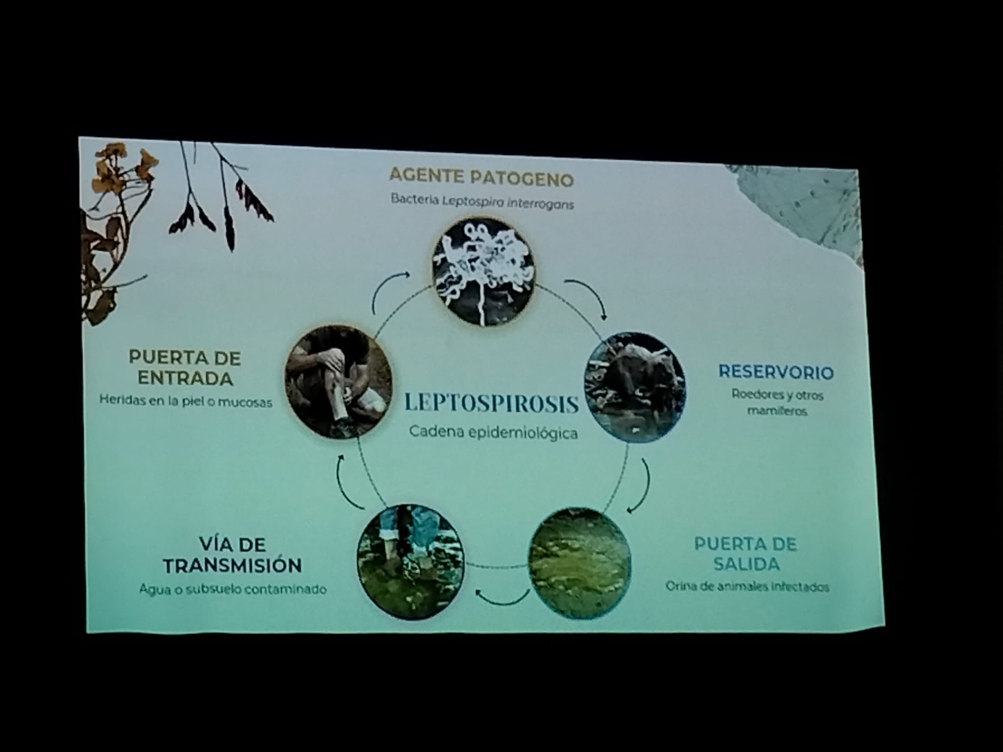 Quan viatjar també es aprendre salut: Investigant malalties importades